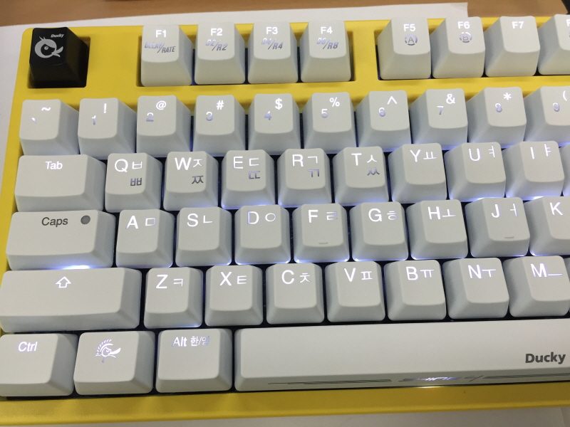 크기변환_IMG_0181.JPG