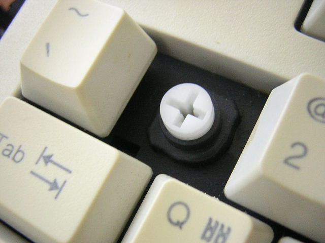 DSCN6511.JPG