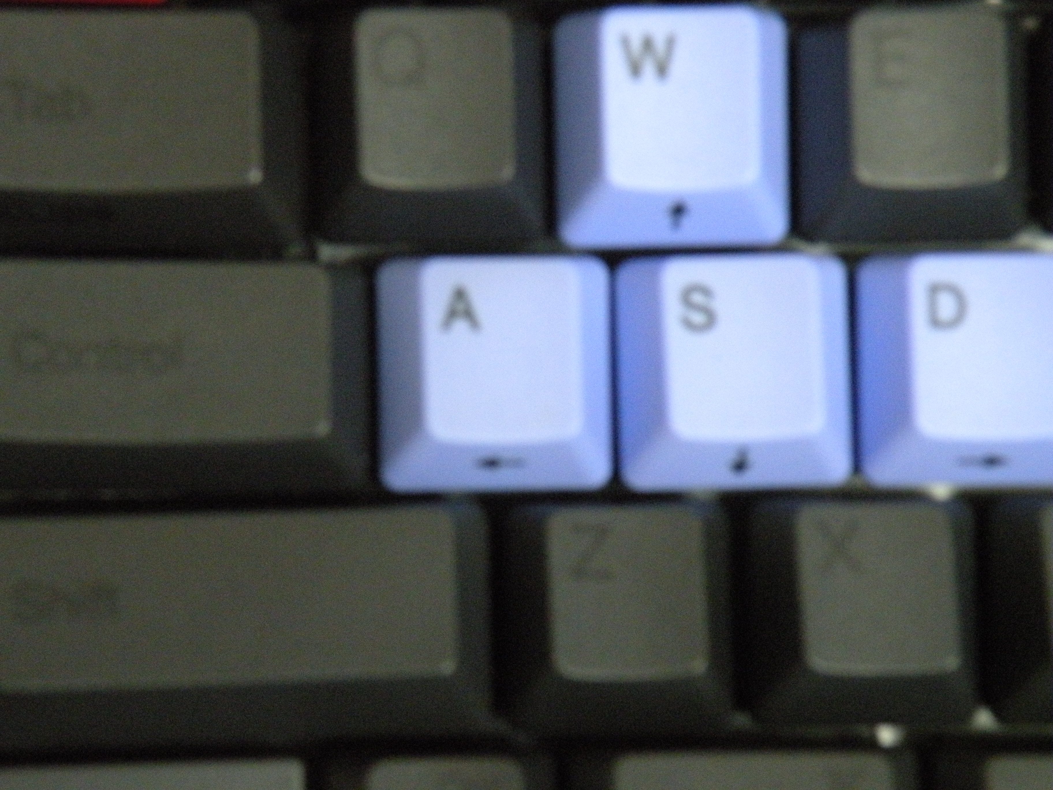 DSCN0649.JPG