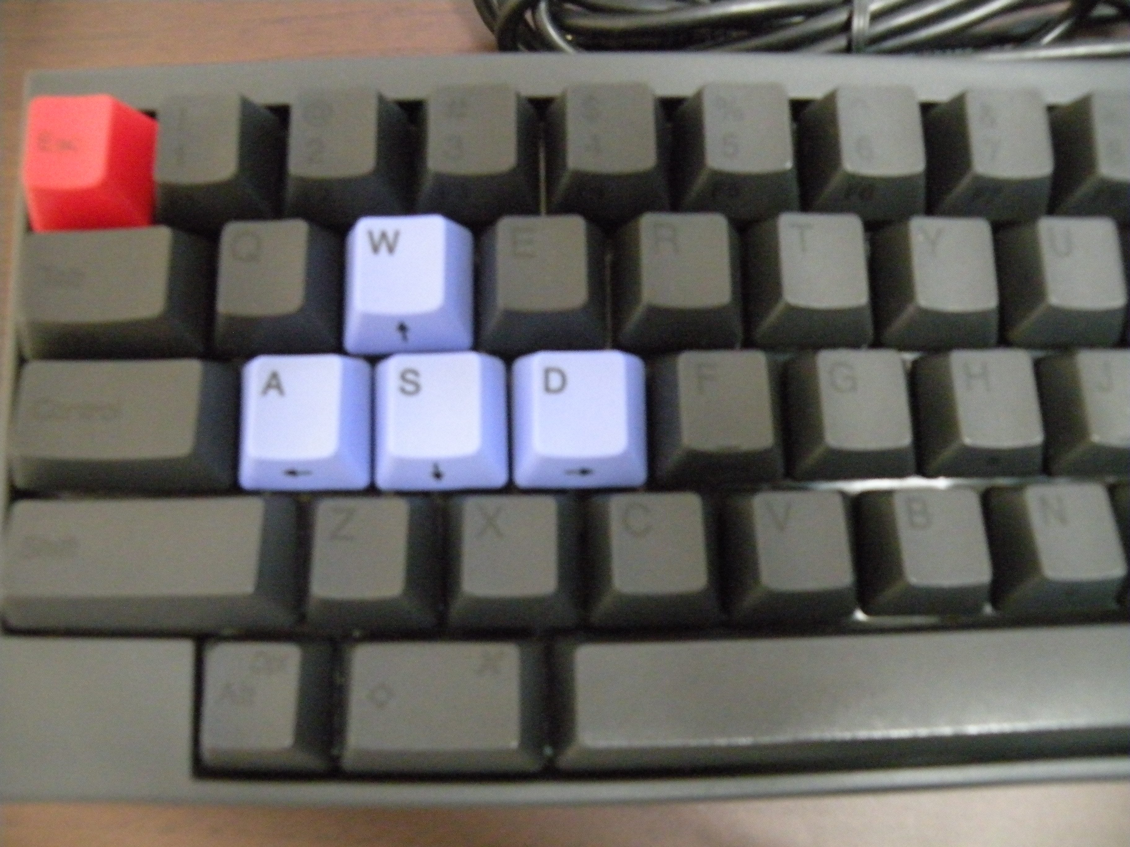 DSCN0652.JPG