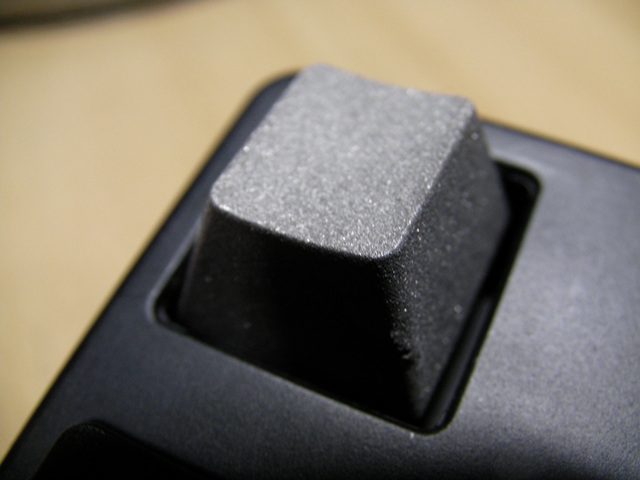 SANY2463.jpg