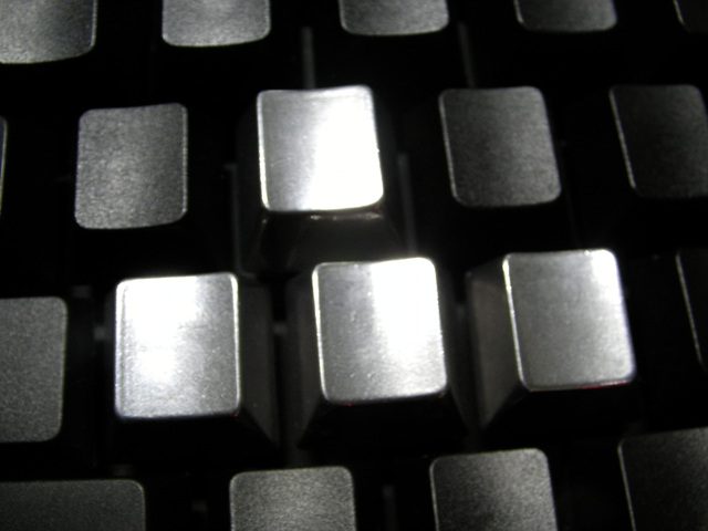 SANY2467.jpg