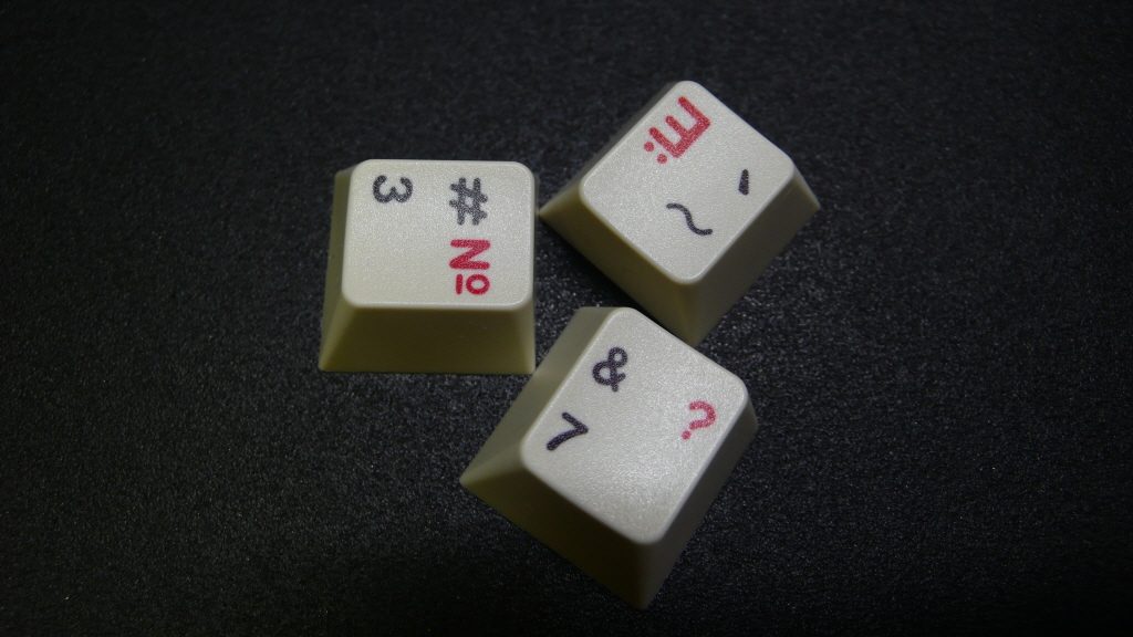 p1030830_ybass6.jpg