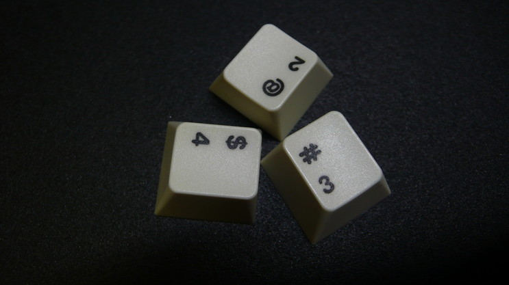 p1030846_ybass6.jpg