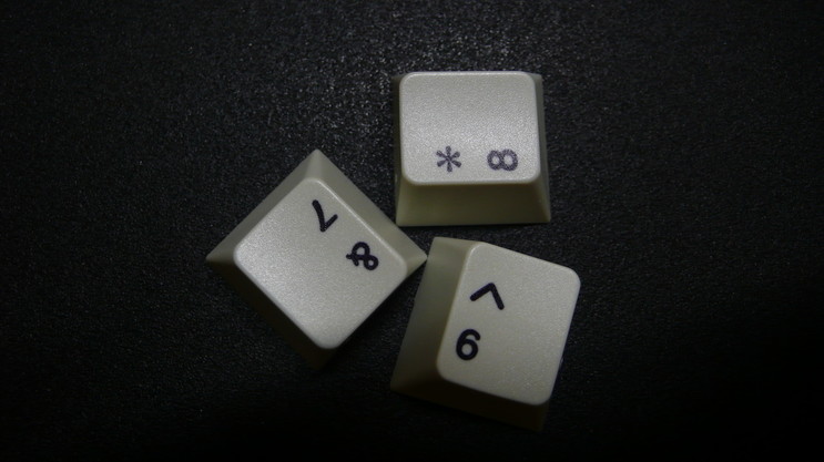 p1030848_ybass6.jpg