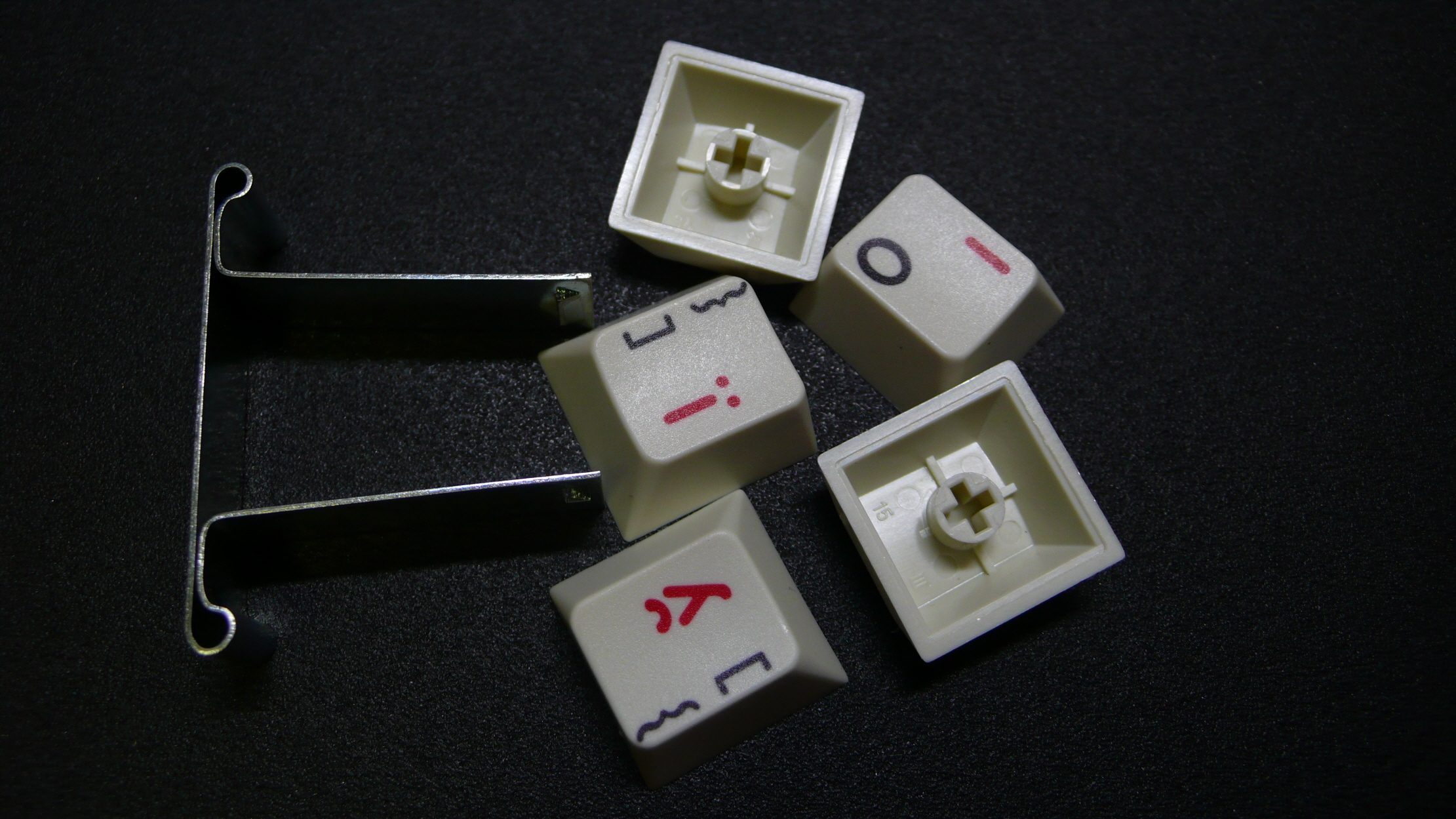 p1030852_ybass6.jpg
