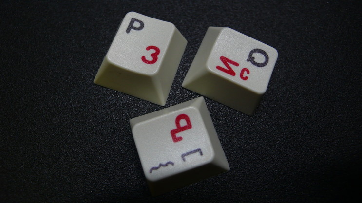 p1030853_ybass6.jpg