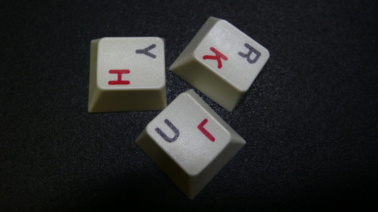 p1030857_ybass6.jpg
