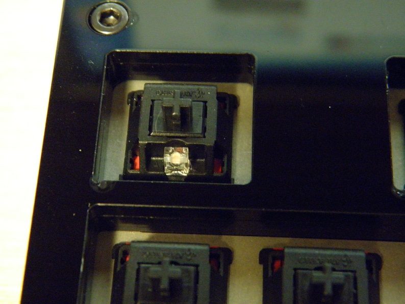 PB300403.JPG