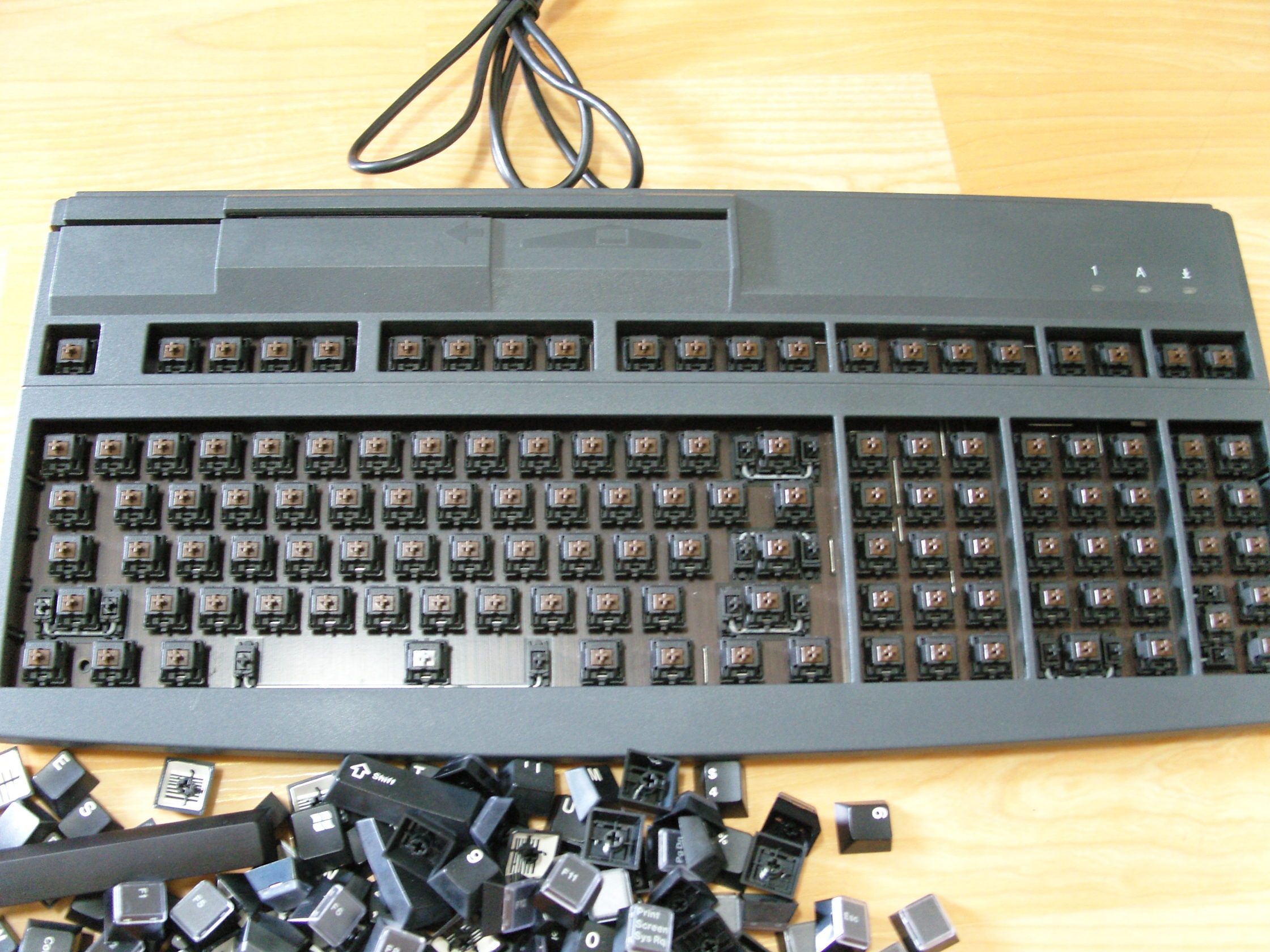 SNV15790.JPG