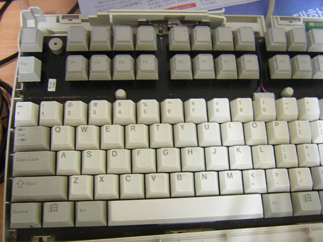 DSCN6529.JPG