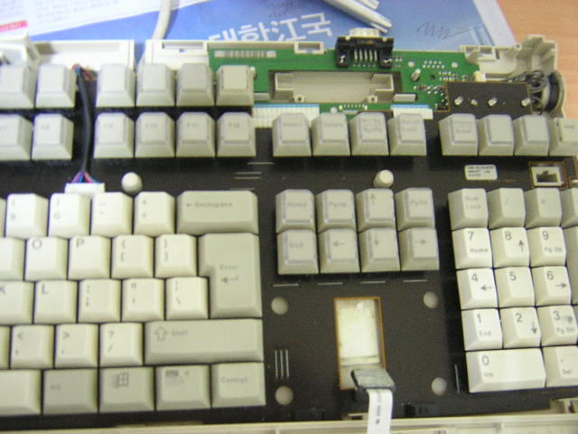 DSCN6530.JPG