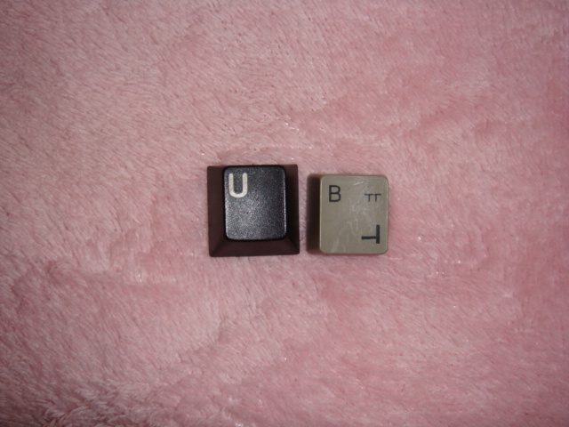 DSC01487.JPG