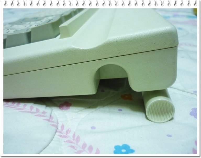 leading-009.JPG