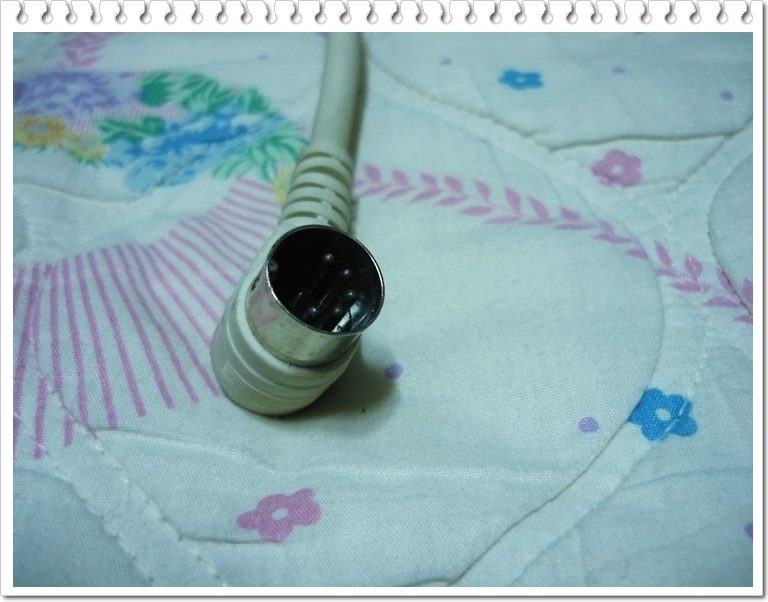 leading-010.JPG