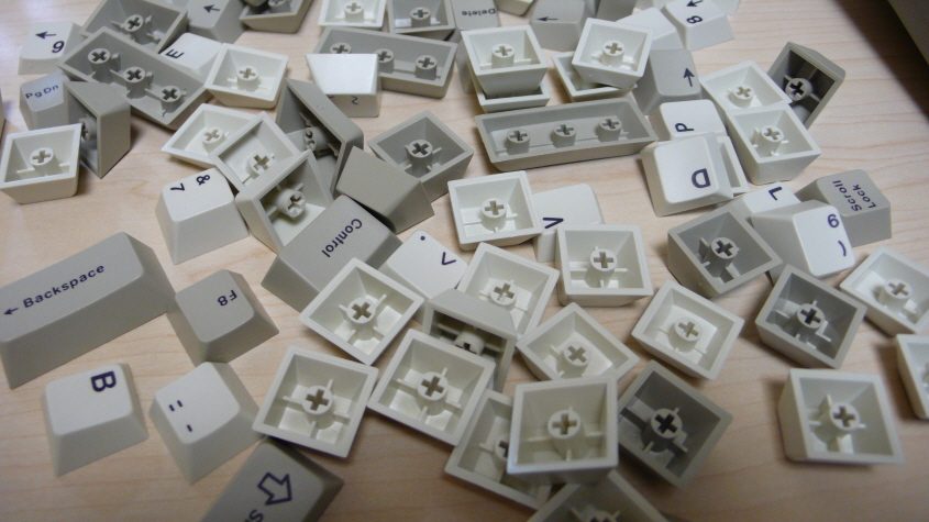 kkkkP1010823.JPG