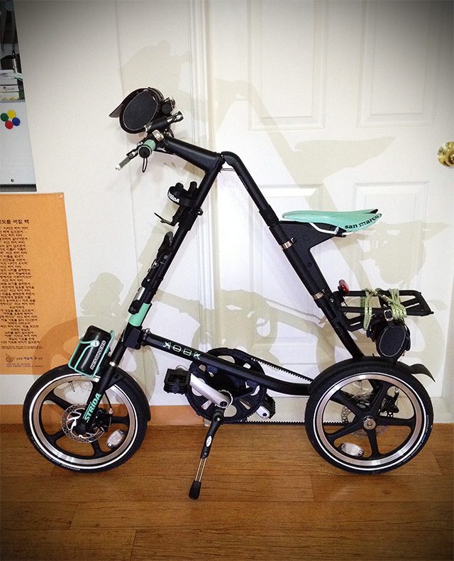 cshark_strida.jpg