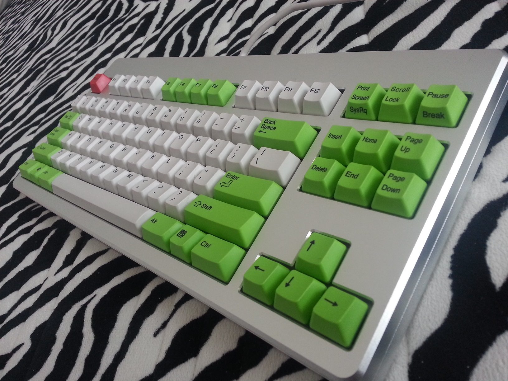 20131026_110548.jpg
