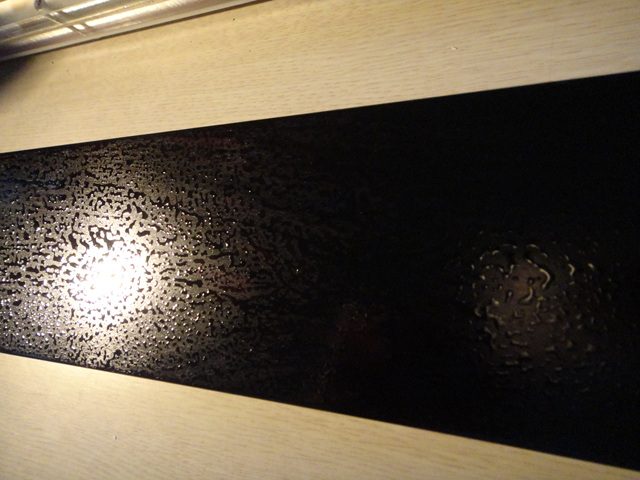 DSC00088.jpg
