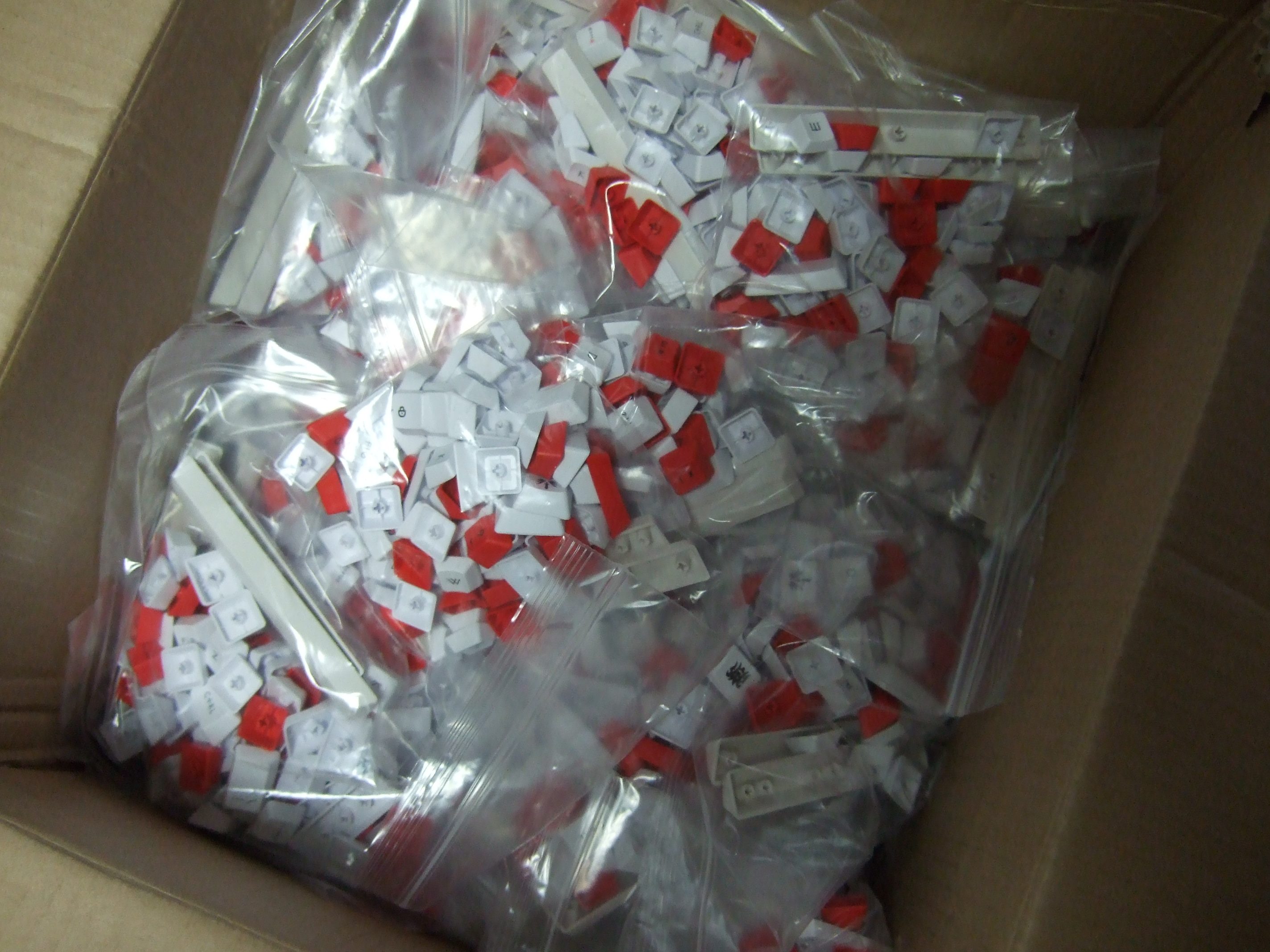 DSCF5068.JPG