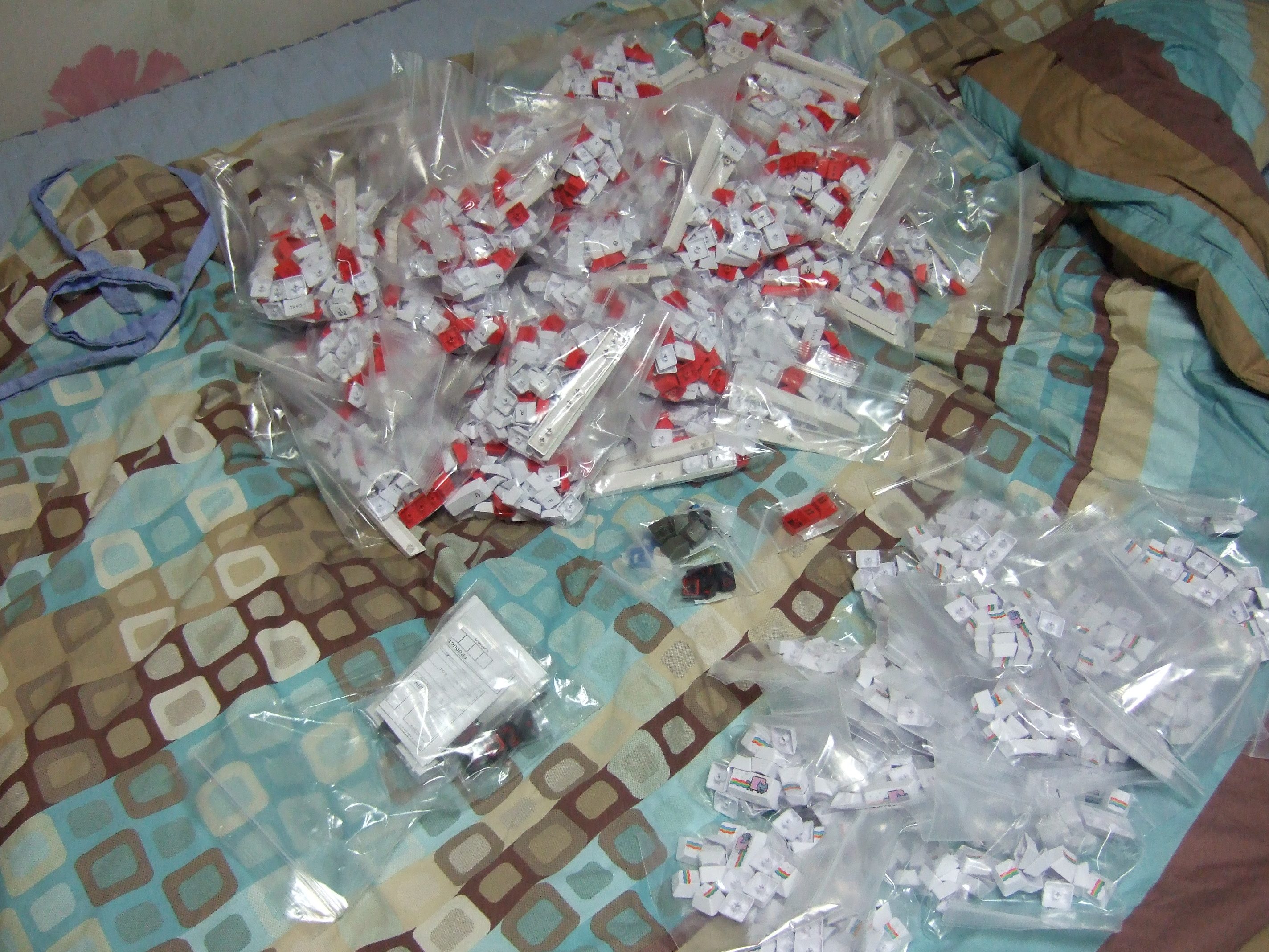 DSCF5072.JPG