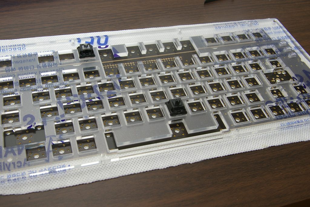 IMGP7498.jpg