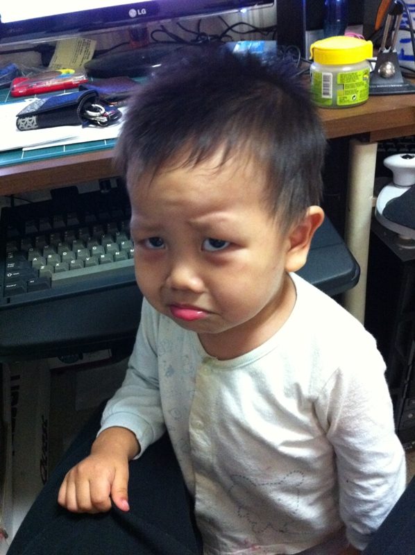 새 이미지.JPG