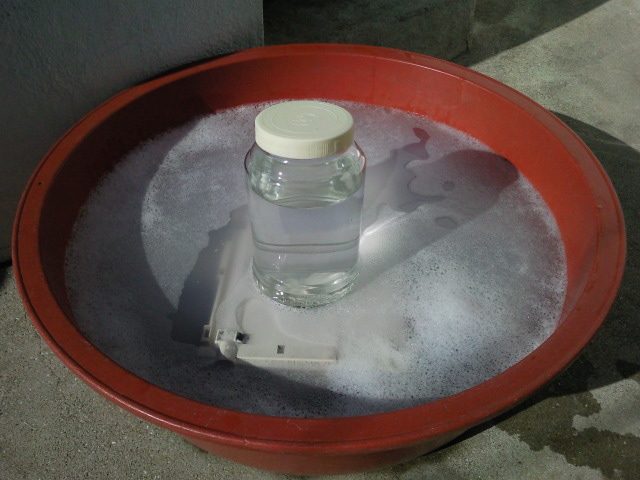 SNC00636.jpg