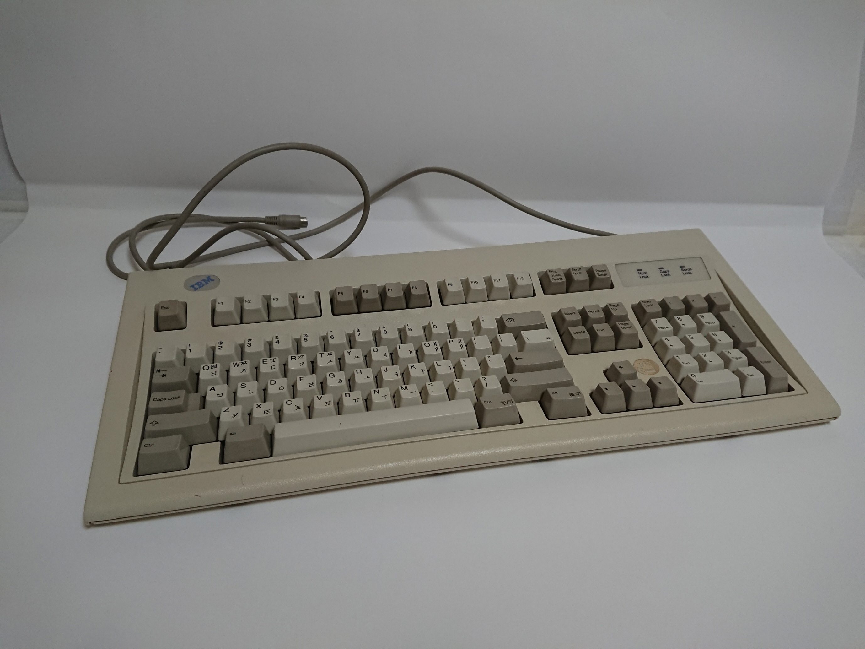 resize DSC_0709.JPG