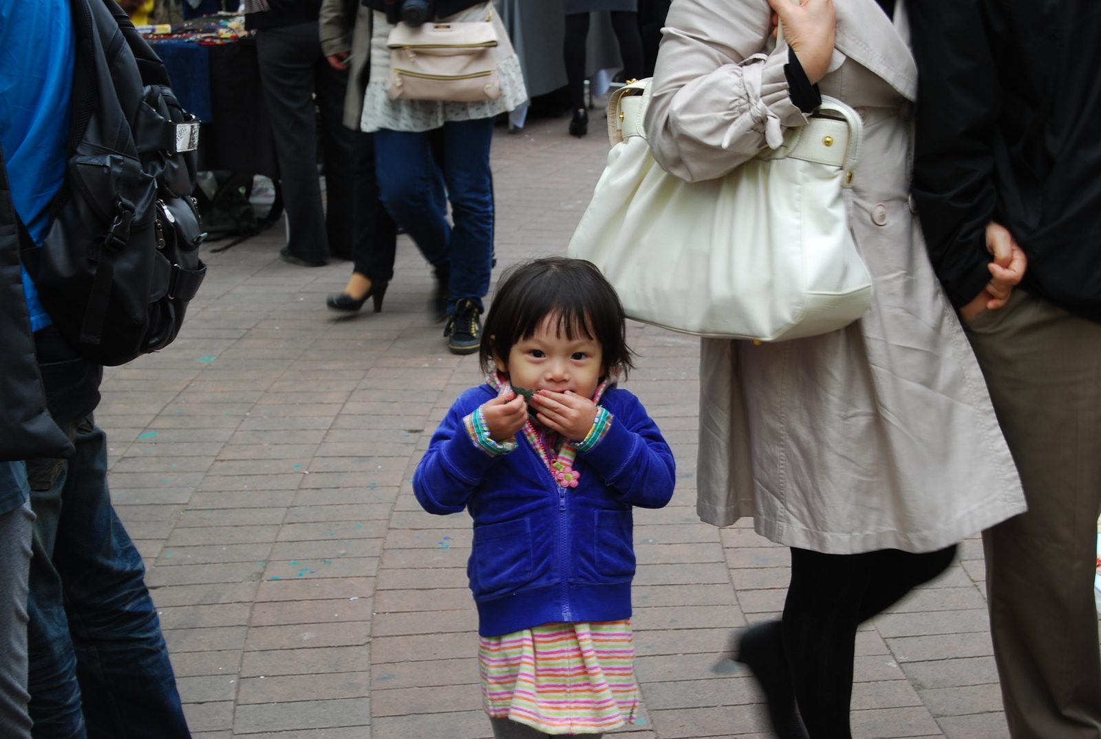 DSC_9470.jpg