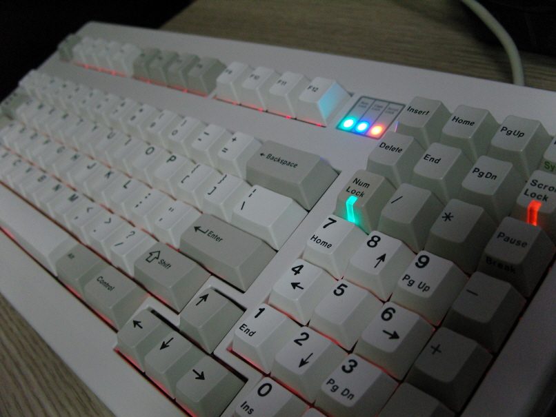 크기변환_SNV15987.JPG