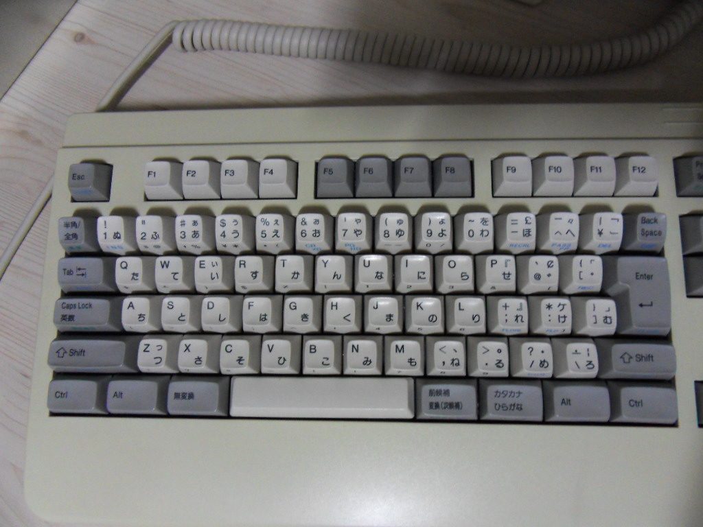 SDC10952.JPG