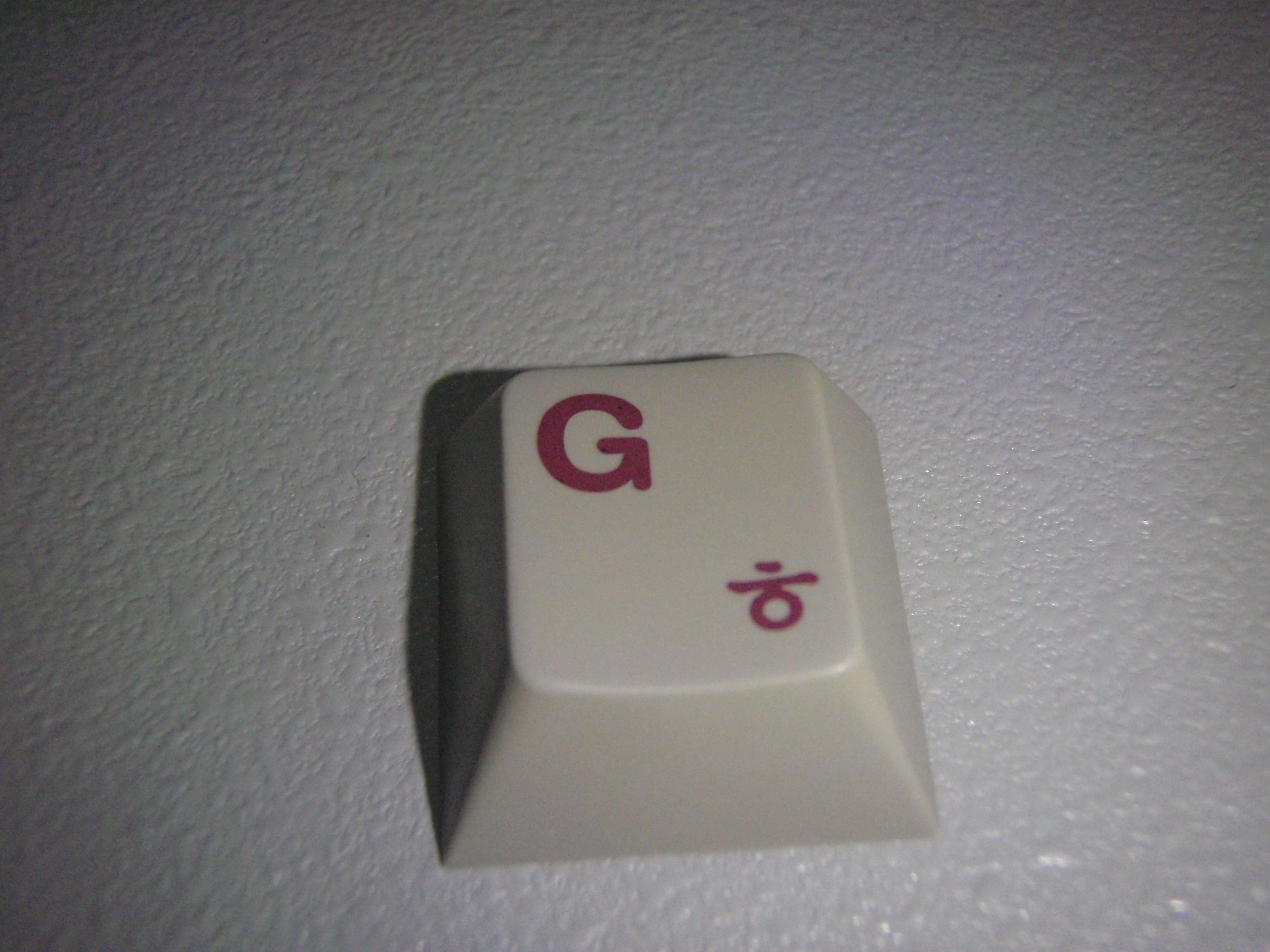 P1010394.JPG