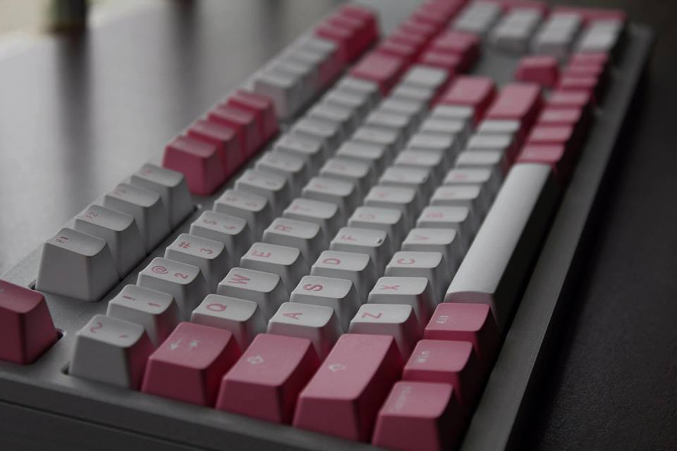 v2.jpg
