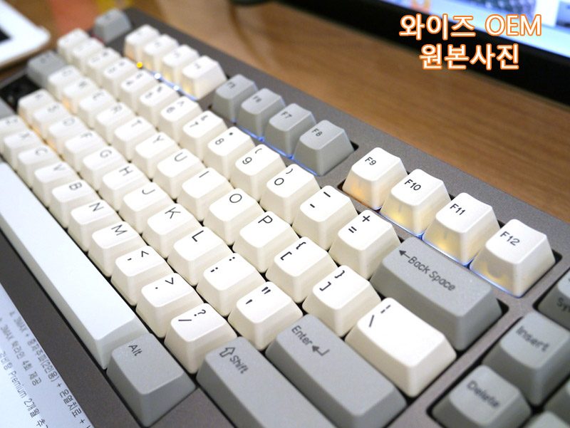 wyseoem01.jpg