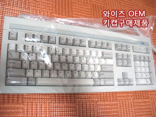 wyseoem0a.jpg
