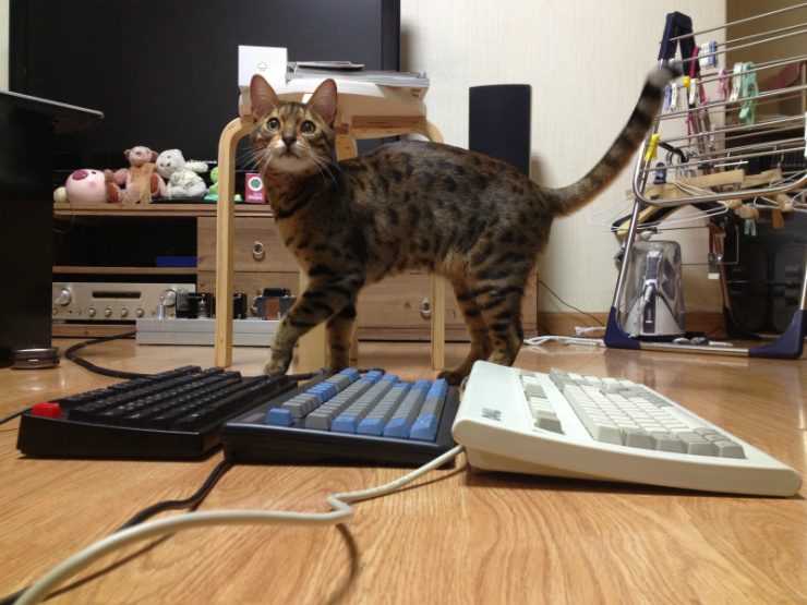 undefined0.jpg : 세개의 탑이 아니고.. 키보드! undefined0.jpg : 세개의 탑이 아니고.. 키보드!