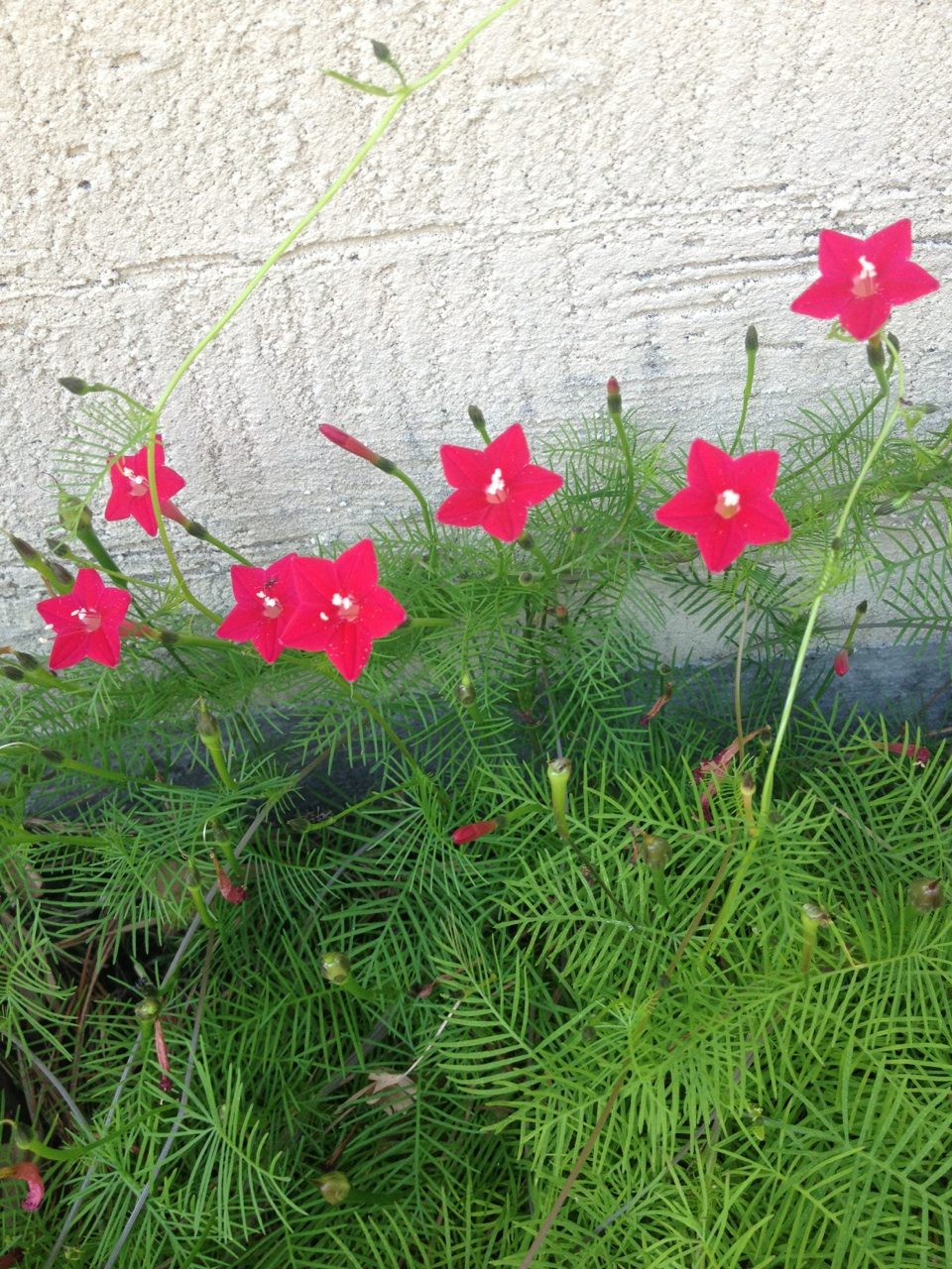 20120925T133457+0900-32563-0000.jpg