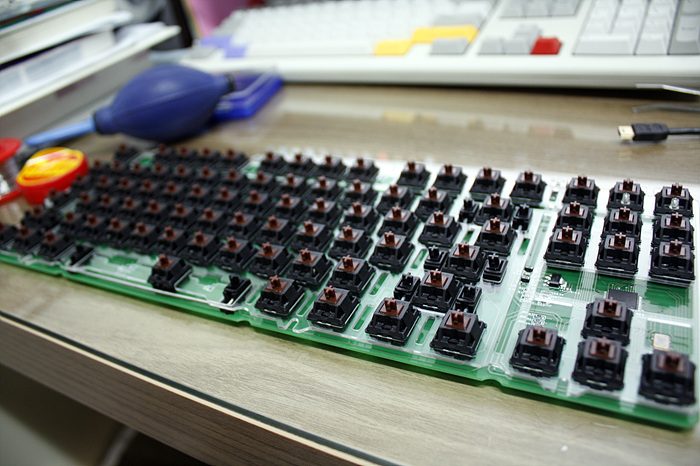 _MG_9589.jpg