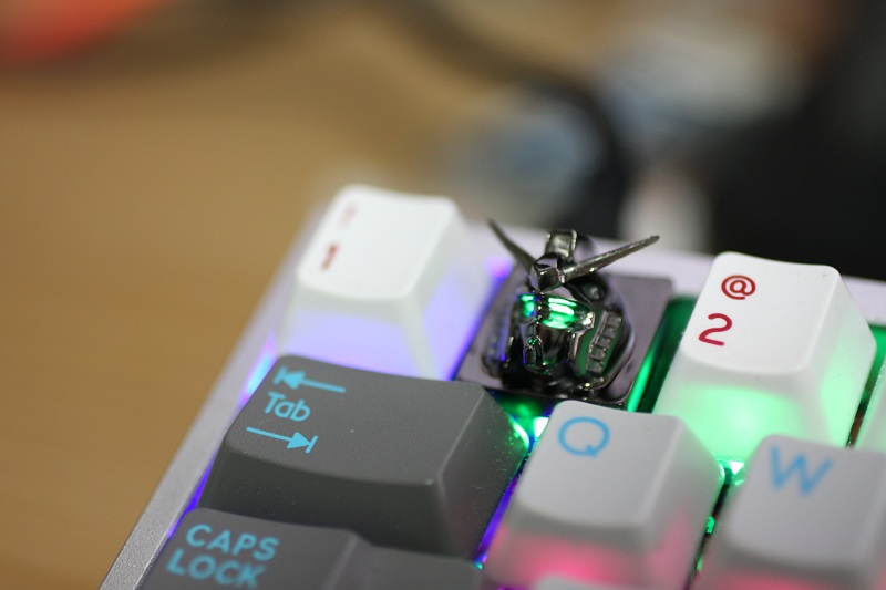 g5.5.JPG
