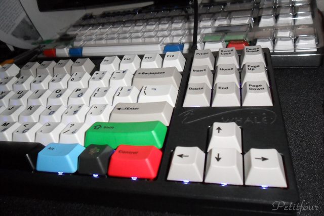 SAM_1451.jpg