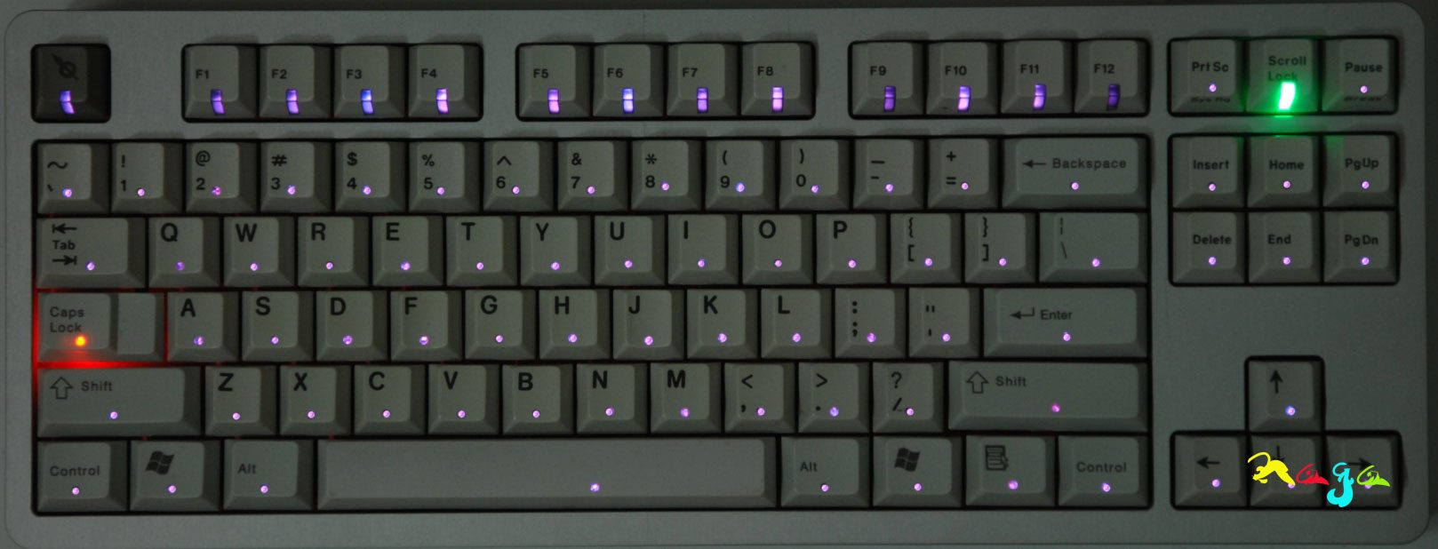 356N_P-1.jpg