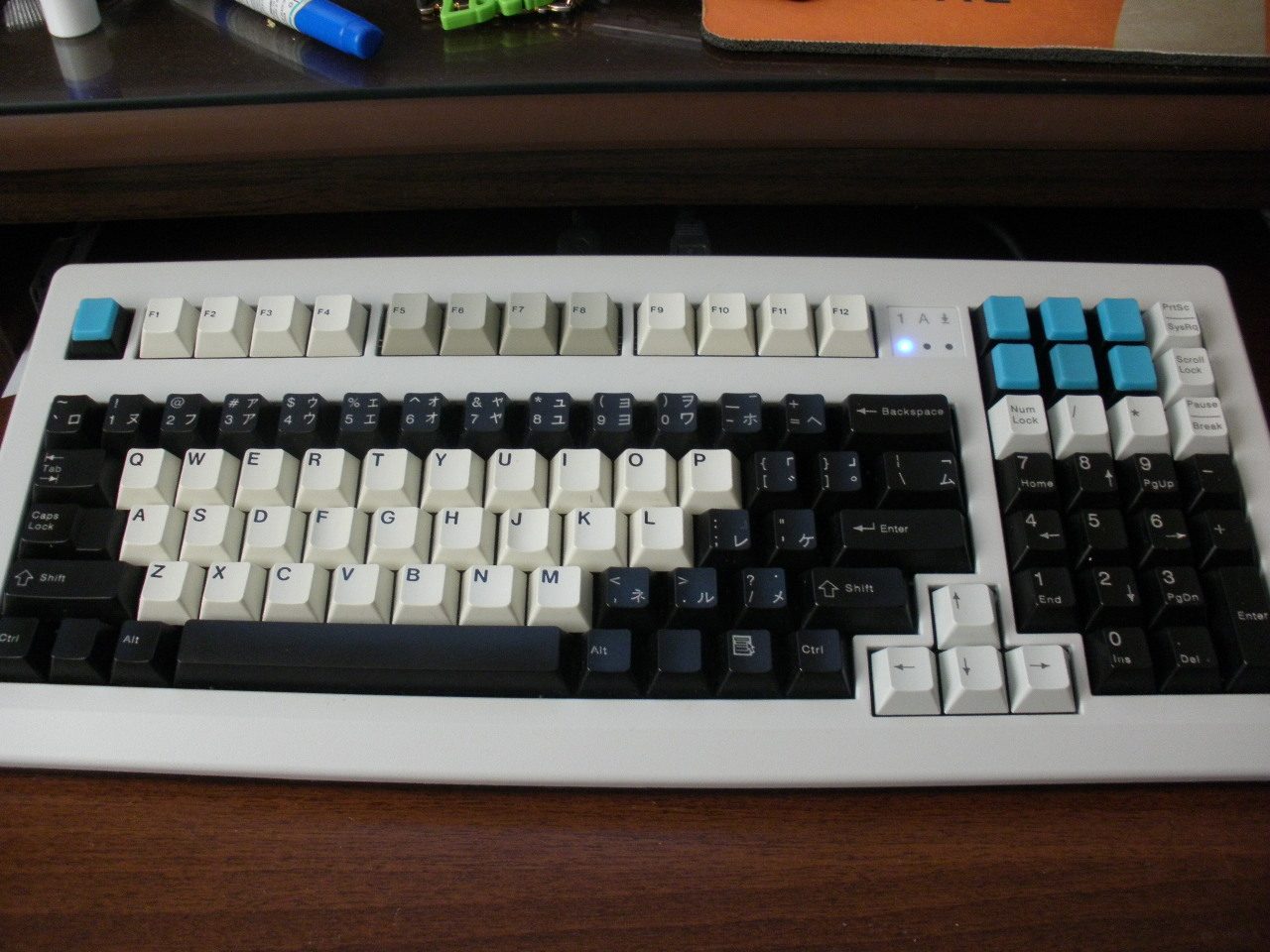 PB240434.JPG