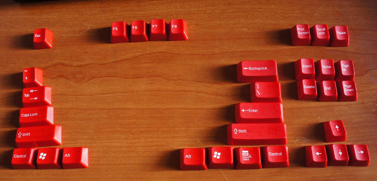 DSC00619.jpg
