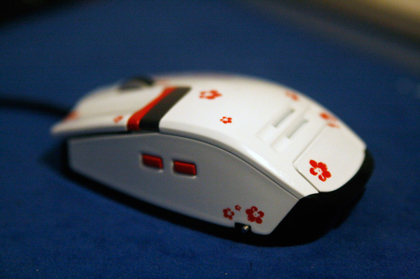 _MG_0057.JPG : MOD-2
