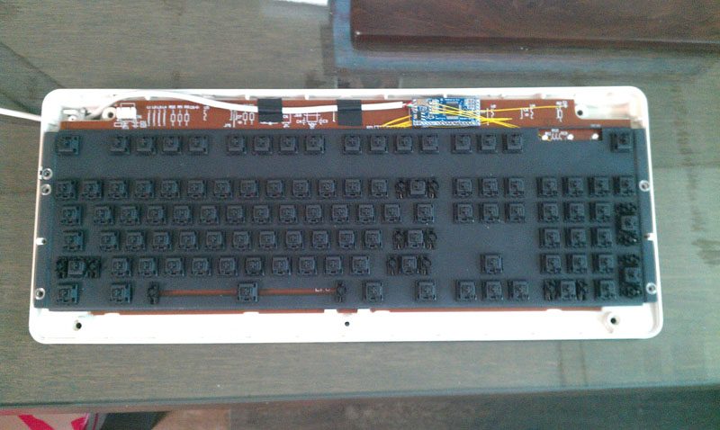 IMAG0131.jpg