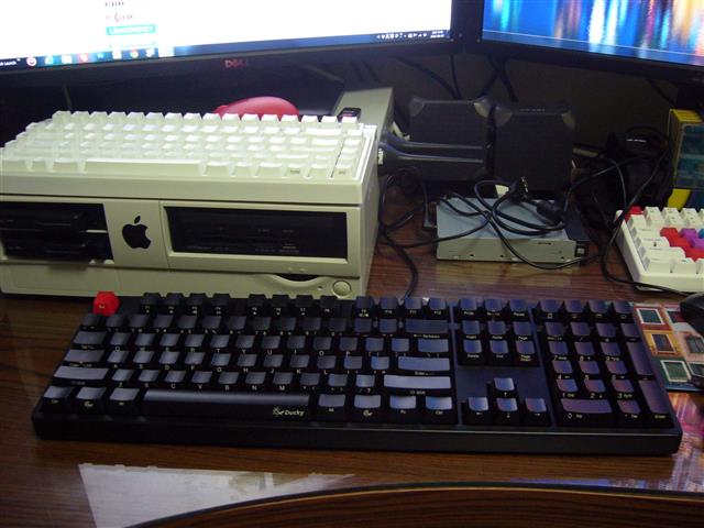 P1080231 (Small).JPG