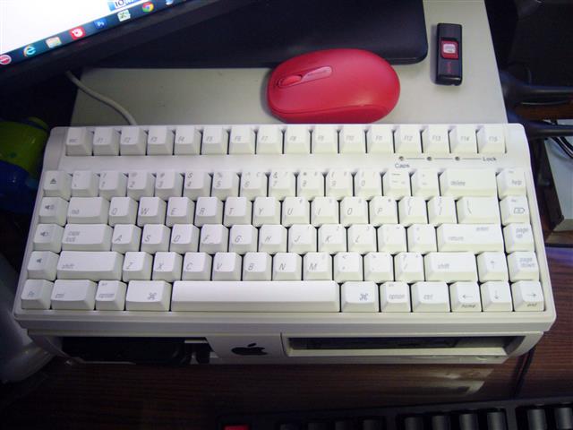 P1080232 (Small).JPG