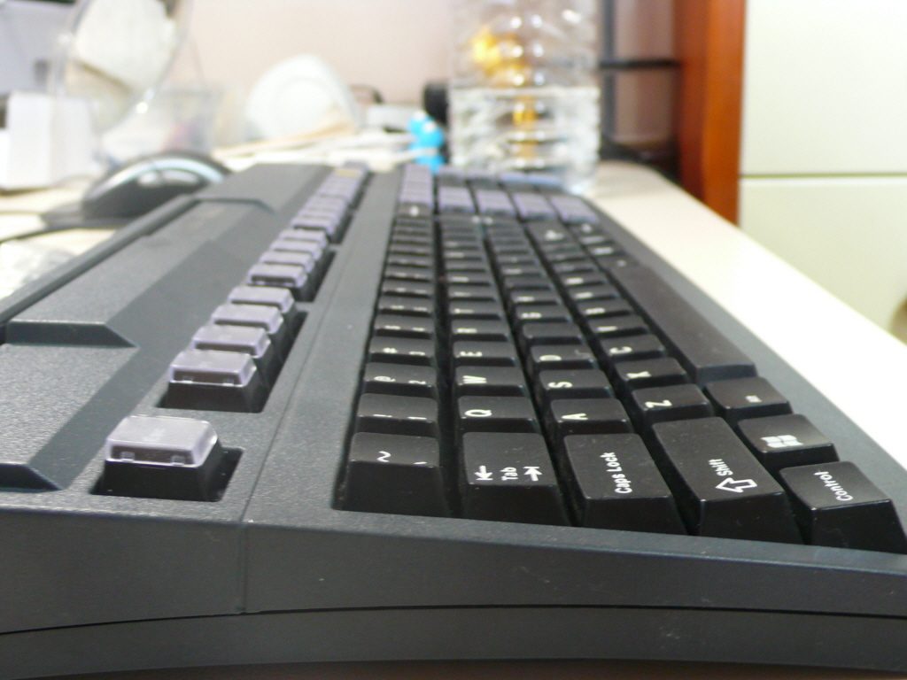 P1090385.JPG