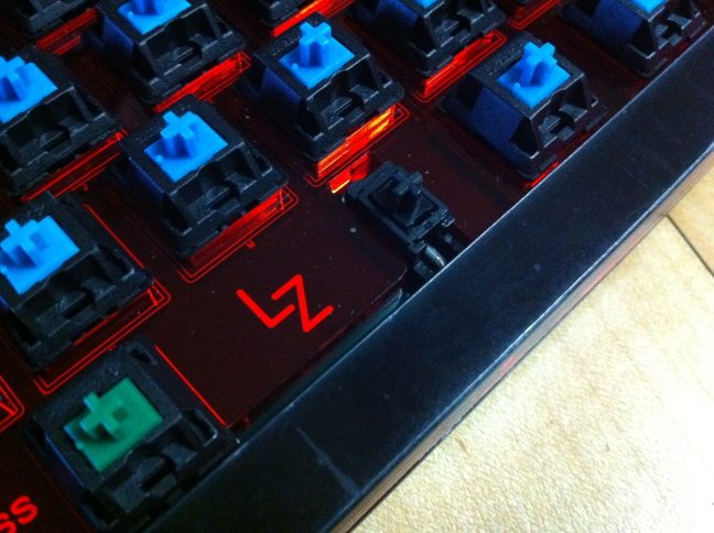 rr-1223 (11).JPG